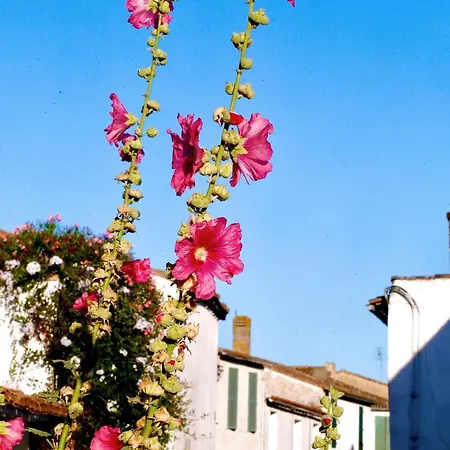 Hébergement de vacances Charmante Maison Pour 4, Proche *